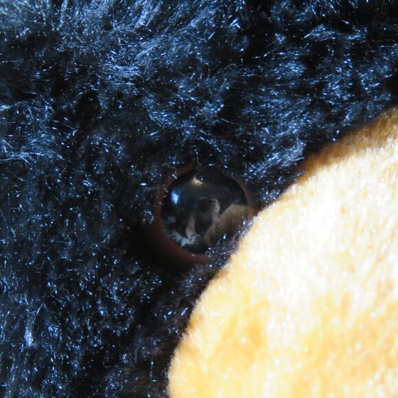 Aurora Black Bear Plush 13" Stuffed Animal Soft Toy Kids Collectible Realistic - Picture 12 of 16